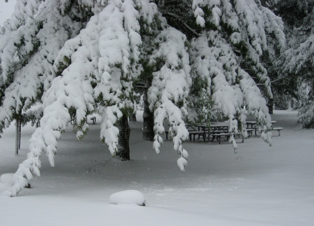 snowy picnic spot