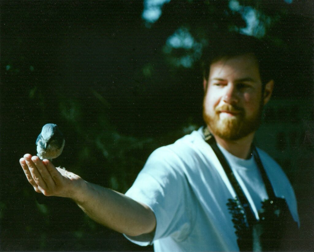 Me in the distance with a scrub jay eating out of my hand