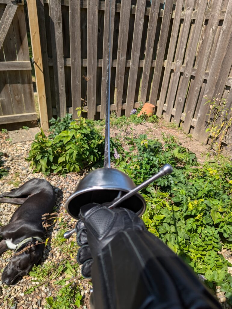 My new rapier (and a dog)