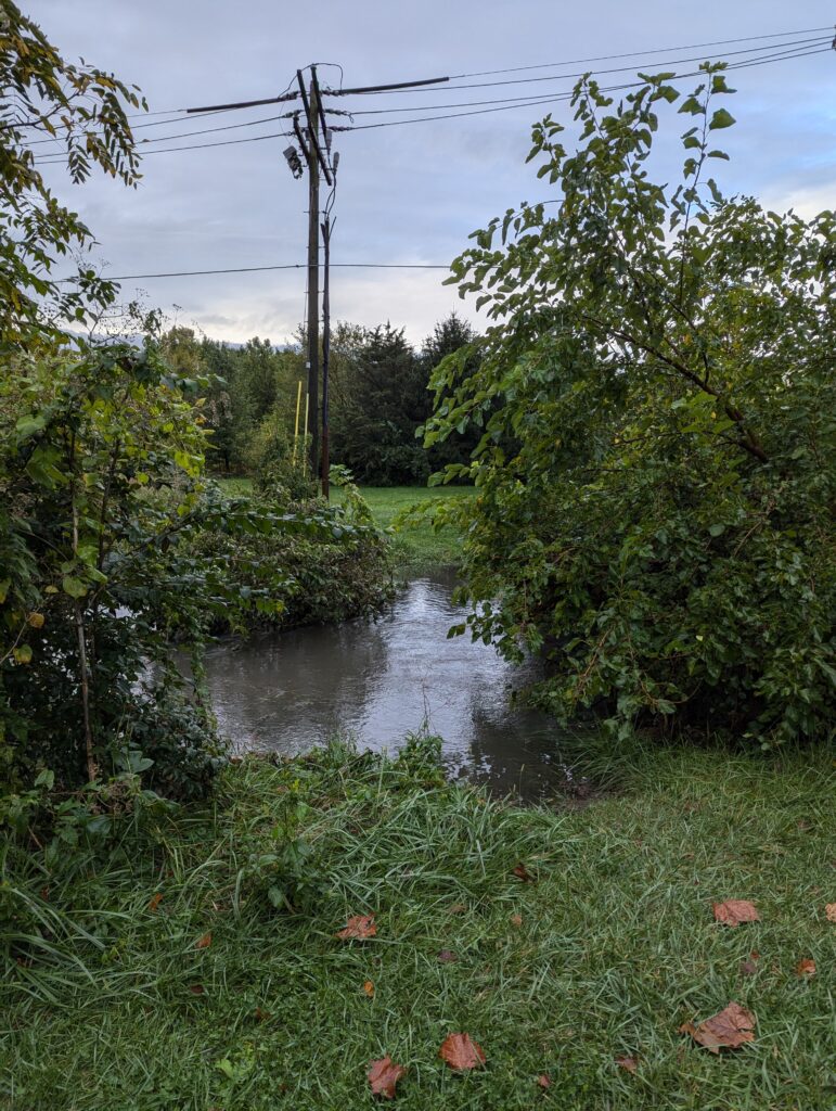 The weir in our little creek is completely under water