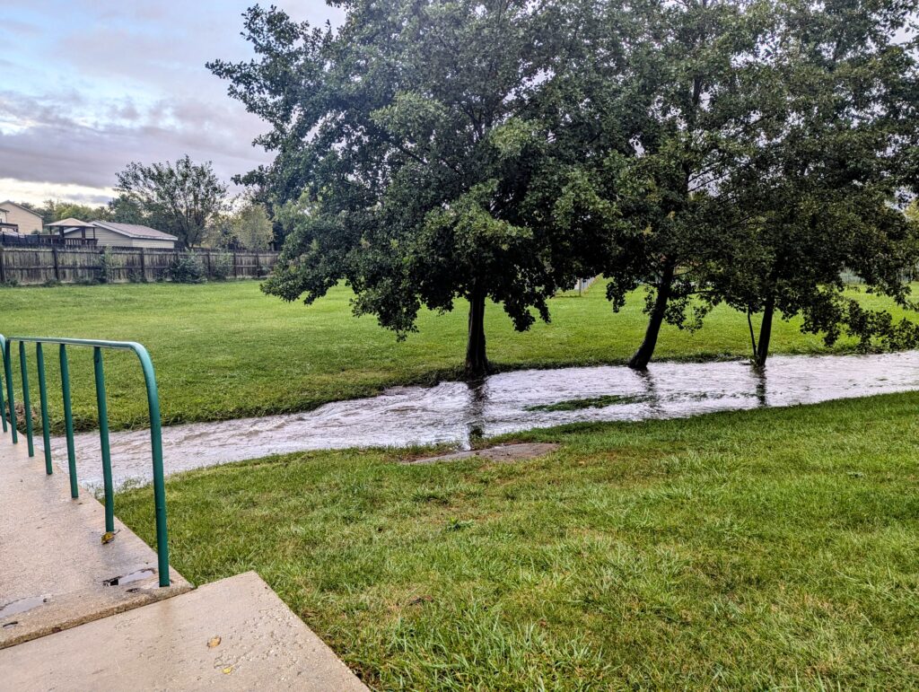 A swollen creek, overflowing its banks enough to reach nearby trees