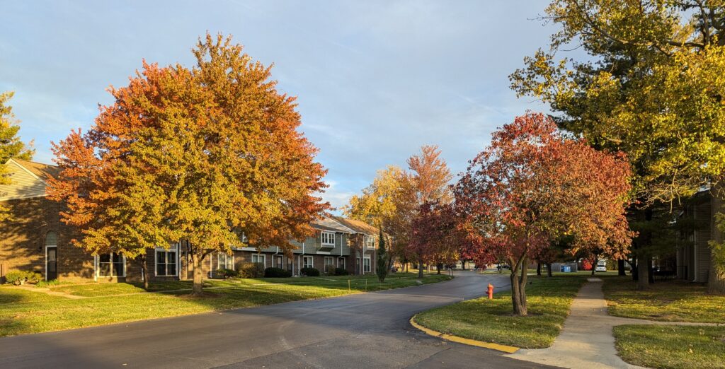 Fall colors in Winfield Village, with multiple trees all in different colors