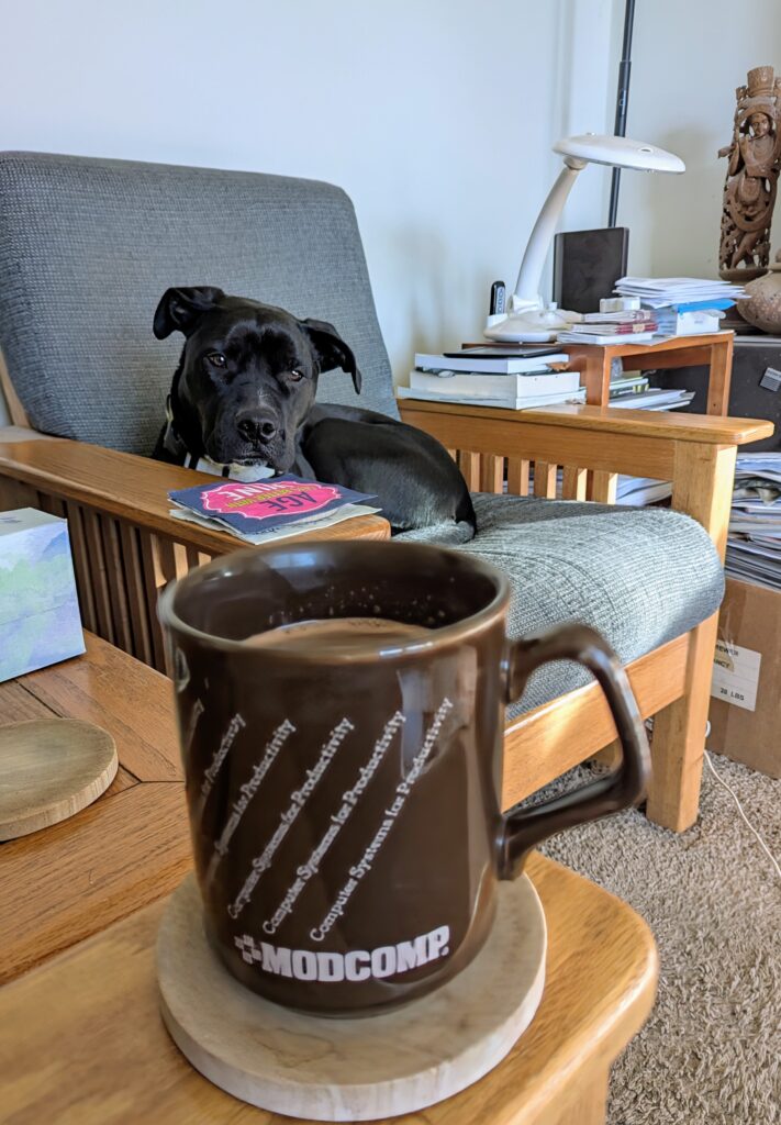 A mug of hot cocoa in a Modcomp mug, with a black dog sitting in a chair in the background.