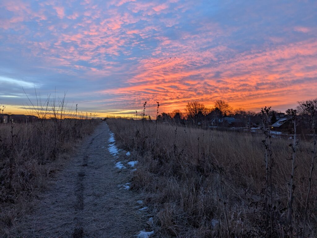 The sun rising above our little prairie