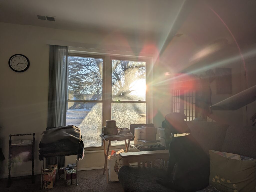 Sun shining in through the living room window