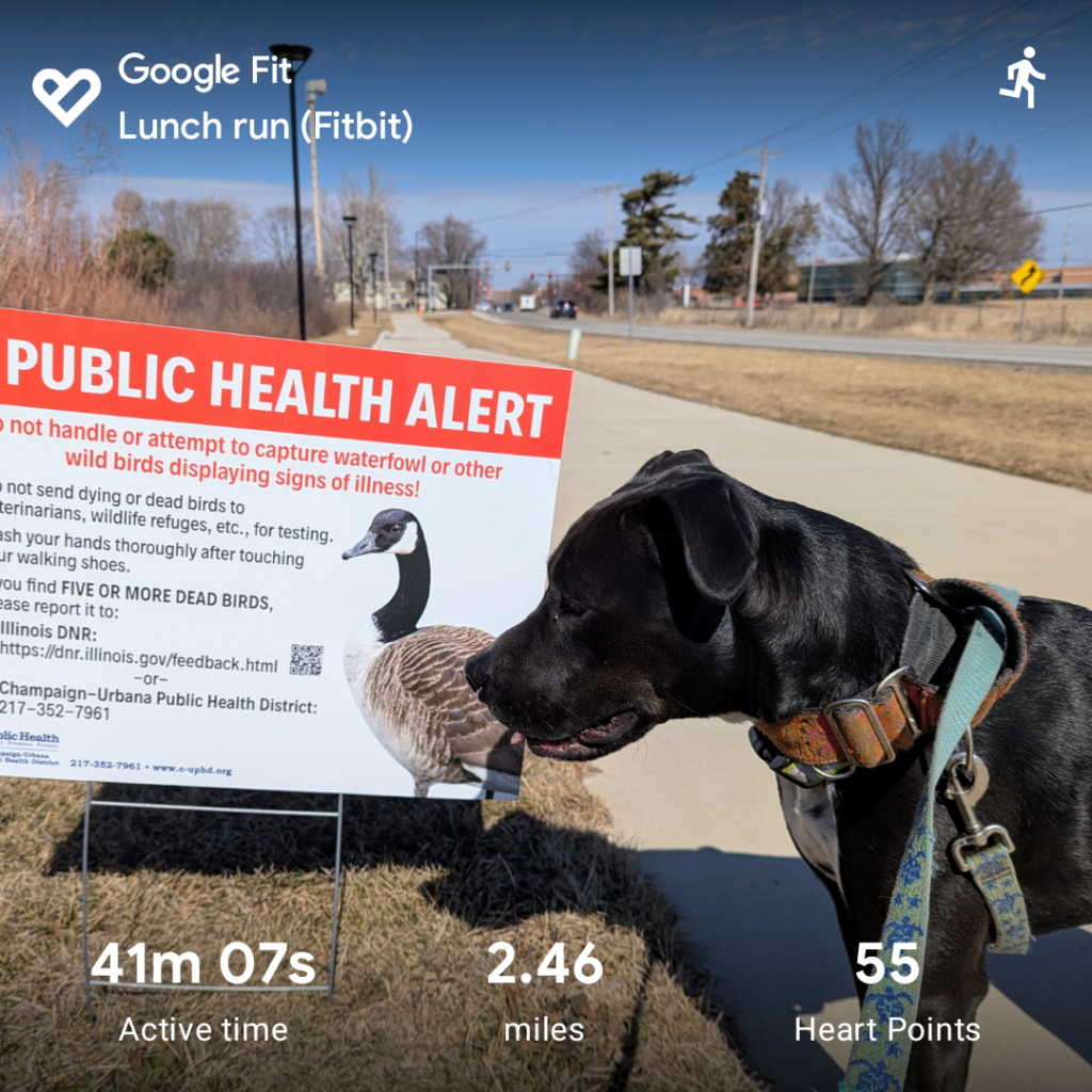 A black dog on a leash, reading a public health alert sign for possible bird flu, with a multi-use path stretching on into the distance beyond the sign